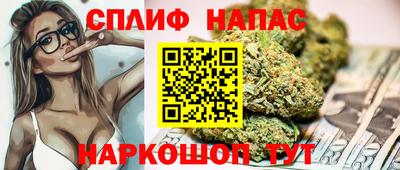 СК Тара