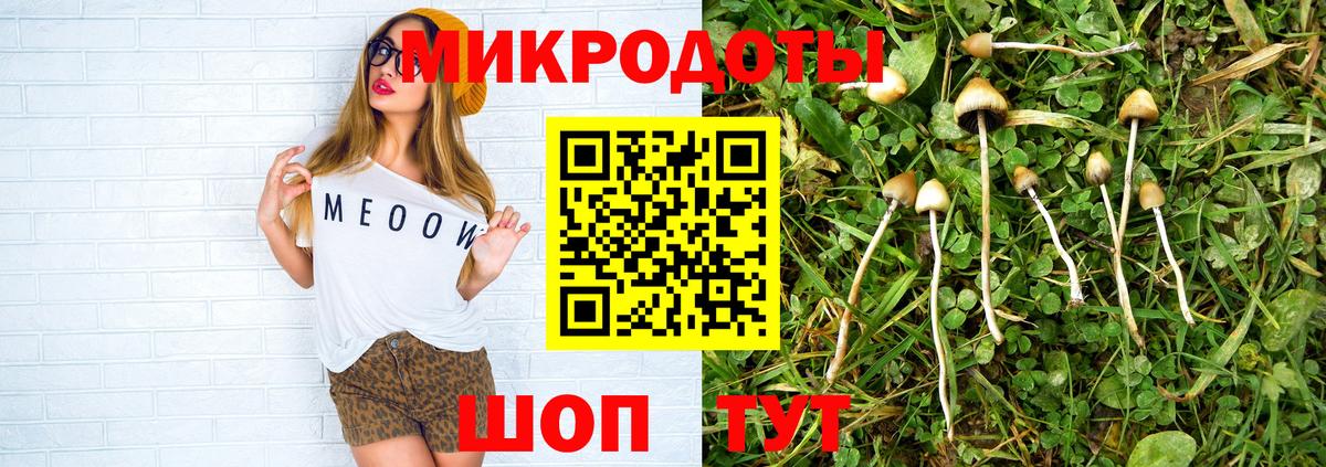 Псилоцибиновые грибы Cubensis Лесосибирск