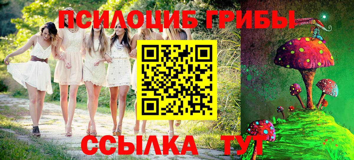 Лесосибирск  Псилоцибиновые грибы GOLDEN TEACHER  Вход с VPN  Псилоцибиновые грибы GOLDEN TEACHER 